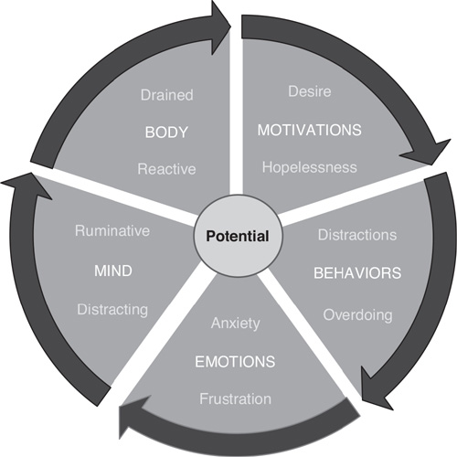 The Wheel of Self is now showing the stalled mode of self, with attributions assigned to each segment.