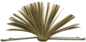 Everyone Wants to Write a Book