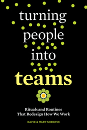 Turning People into Teams