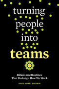 Turning People into Teams