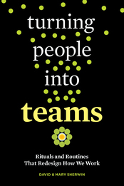 Turning People into Teams Toolkit
